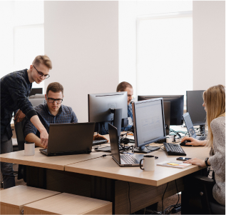 Software & IT Services